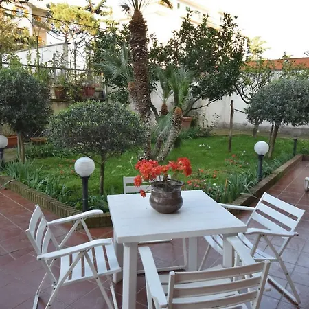 Sun Terrace