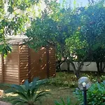 Lejlighed Sun Terrace *