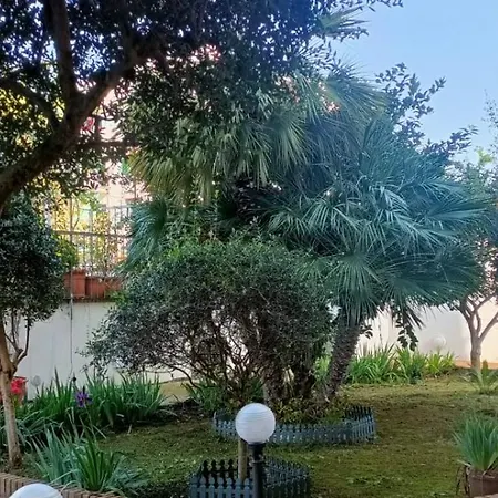 Sun Terrace *