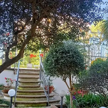 Sun Terrace *