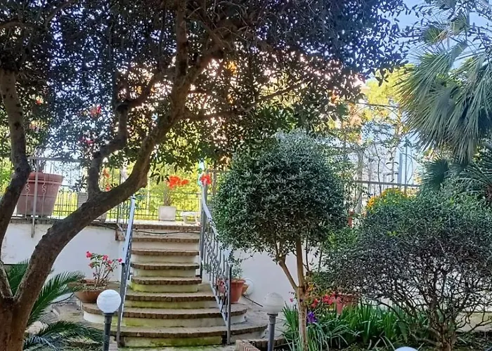 Sun Terrace *